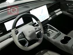 بي واي دي سيليون 06 DM-i